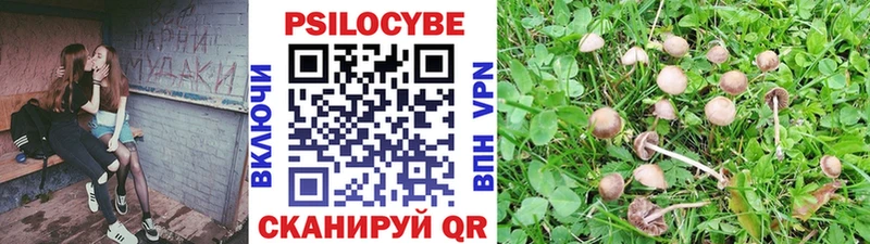 Купить где  Среднеуральск  Галлюциногенные грибы MAGIC MUSHROOMS 