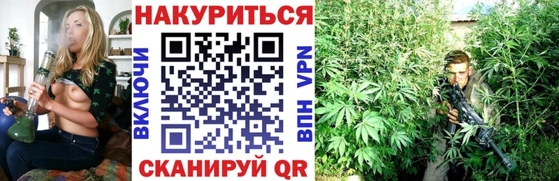 Шишки марихуана Amnesia  Купить где  Среднеуральск 